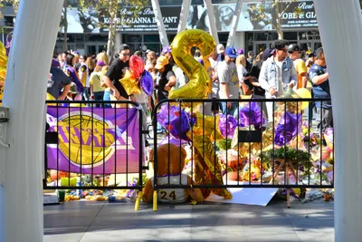 DSC_7106 (Large).JPG